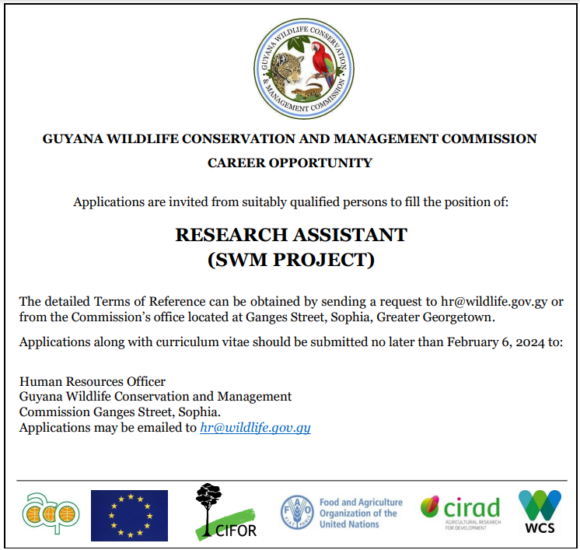 Vacancy: Research Assistant (SWM Project)