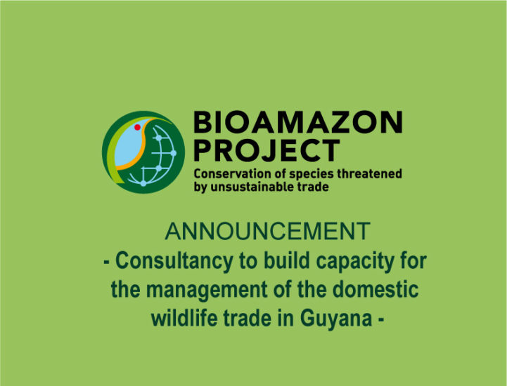 ACTO opens the selection process for hiring consultancy to build capacity for the management of the domestic wildlife trade in Guyana